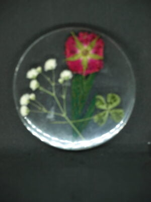 small-wild-flowers-coaster